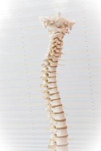 What is a Spinal Subluxation1